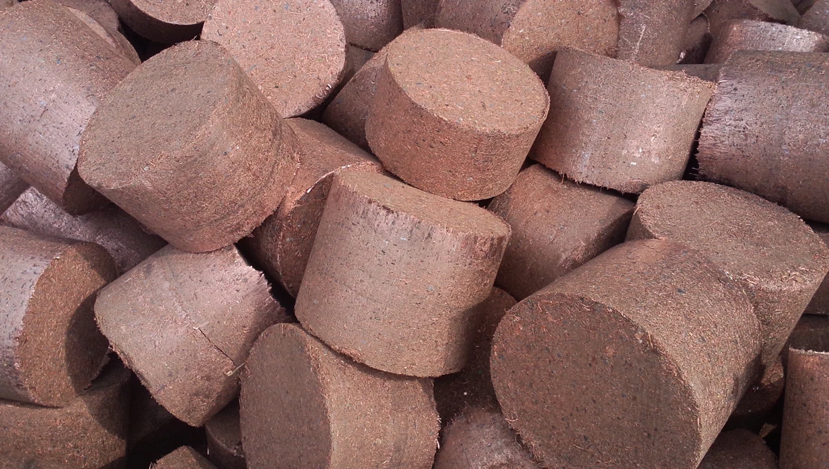 steel-scraps