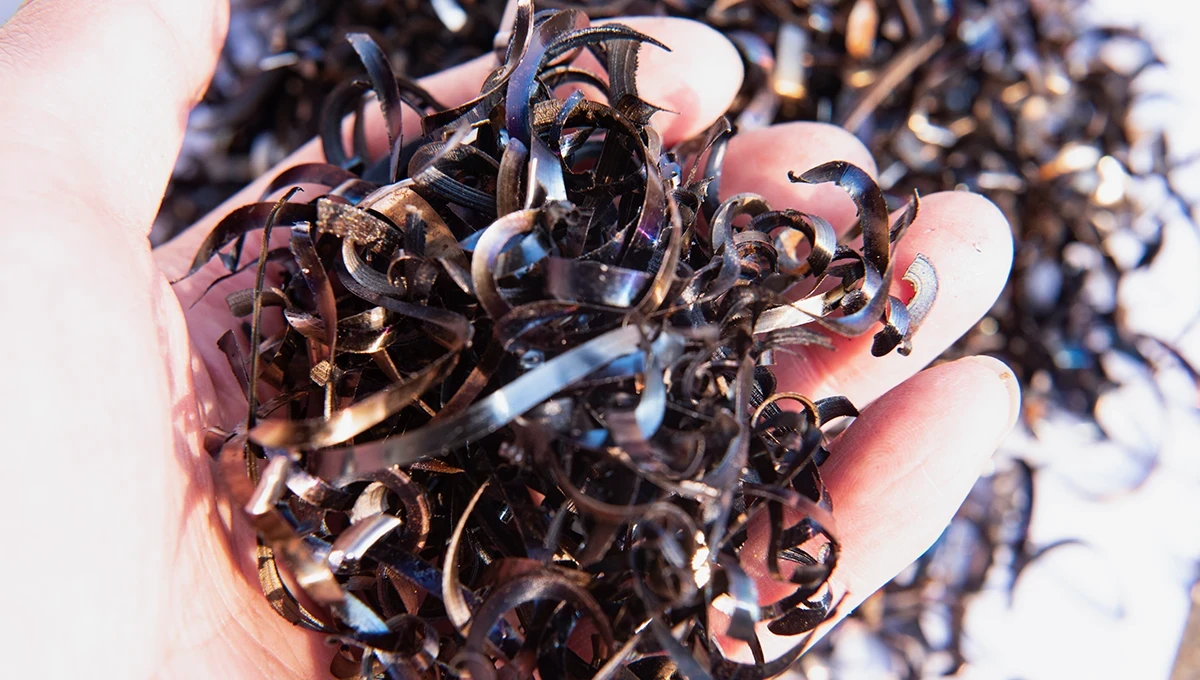 steel-scraps